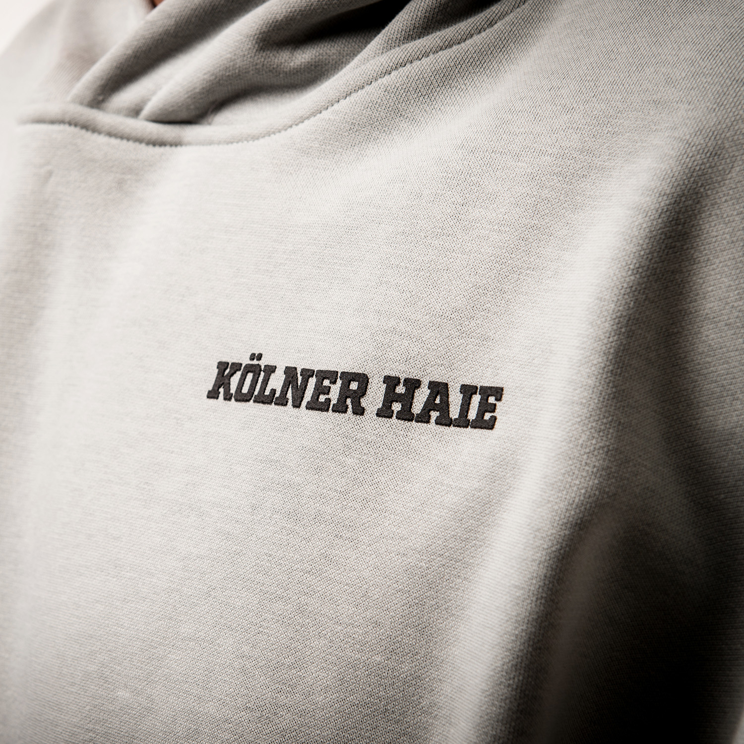 hoodie, Pullover, Textil, Grau, Frontprint