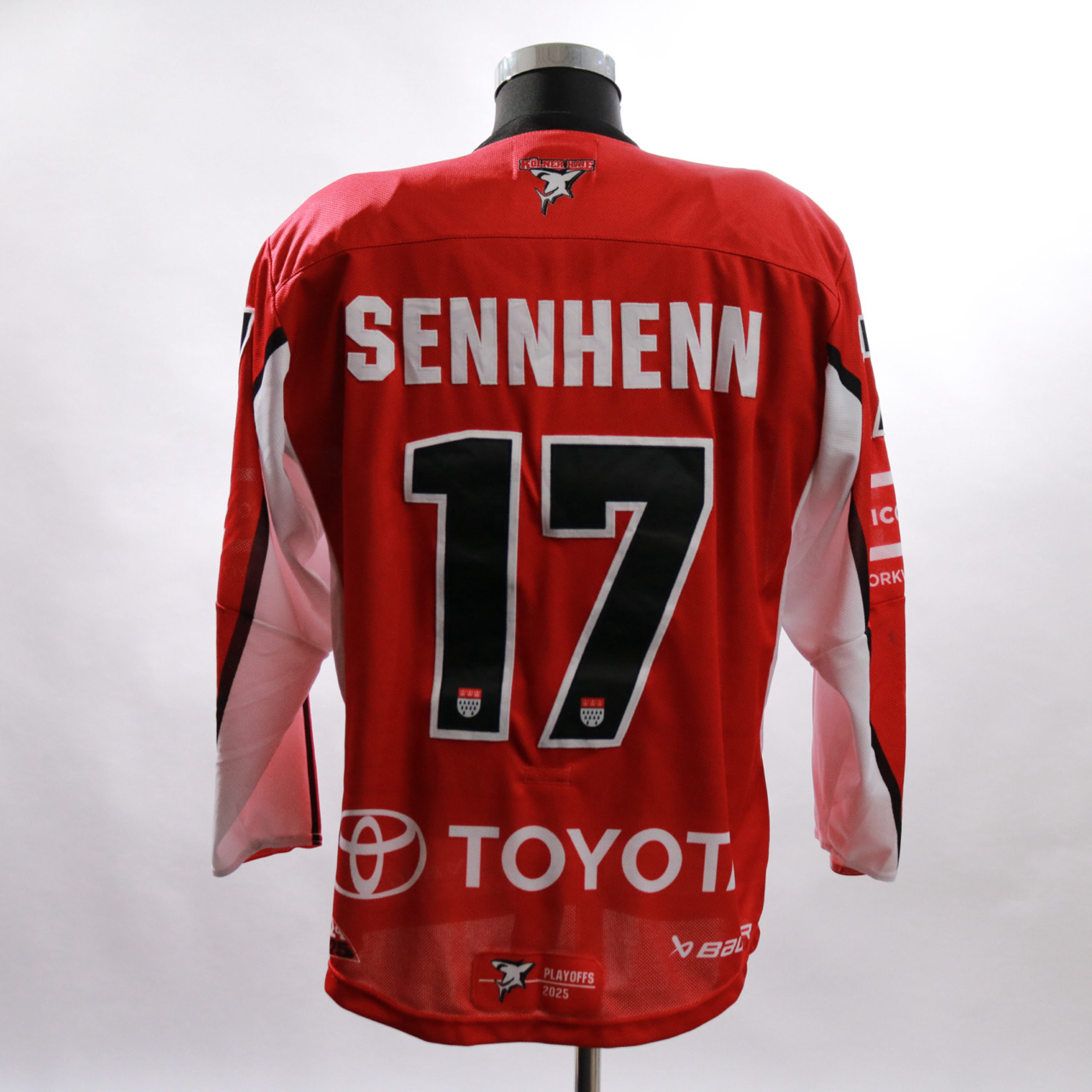 HOME PLAYOFFS | 2024-25 | #17 SENNHENN | gr. L