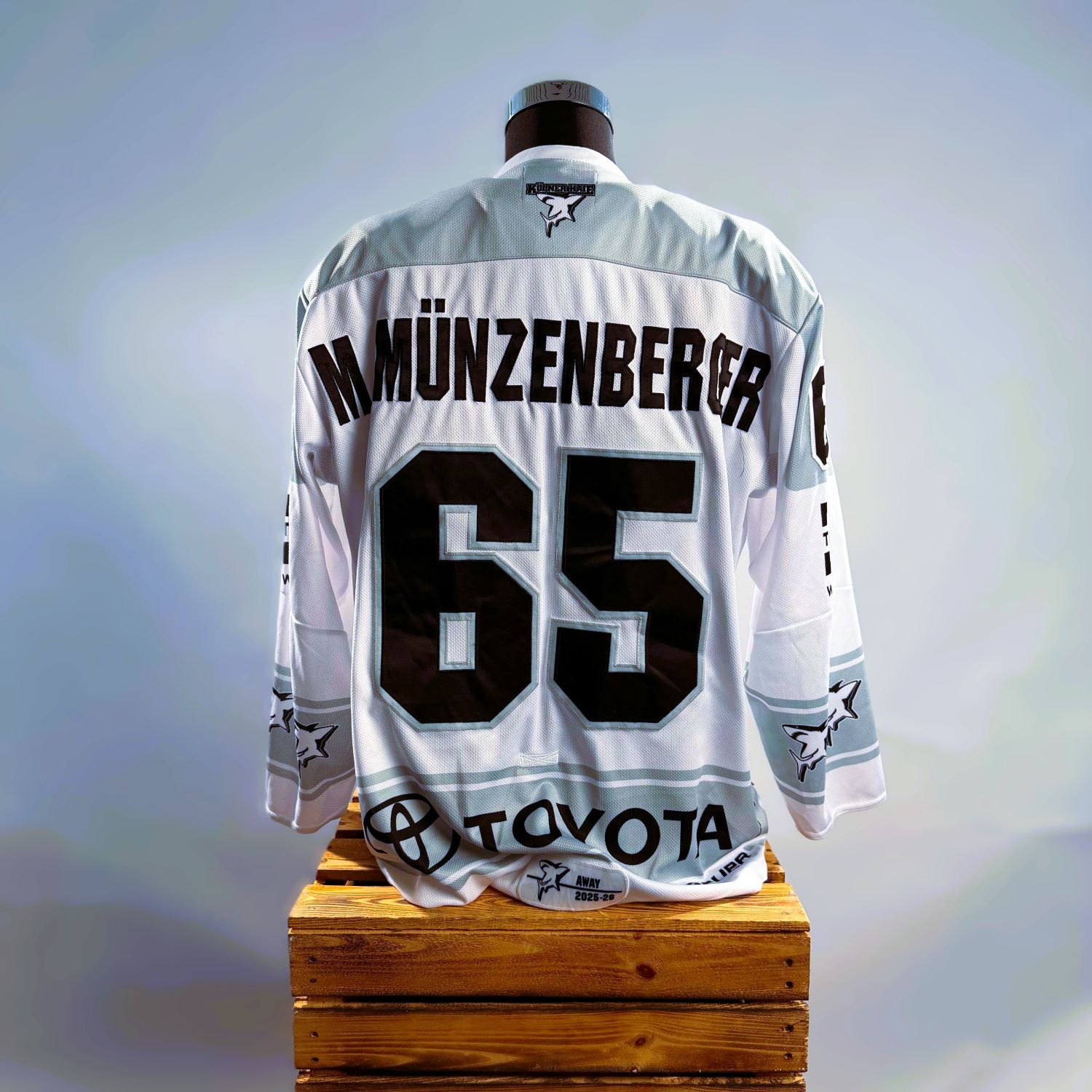 Trikot, Sports-Jersey, 65, Nummern, Team-Logo