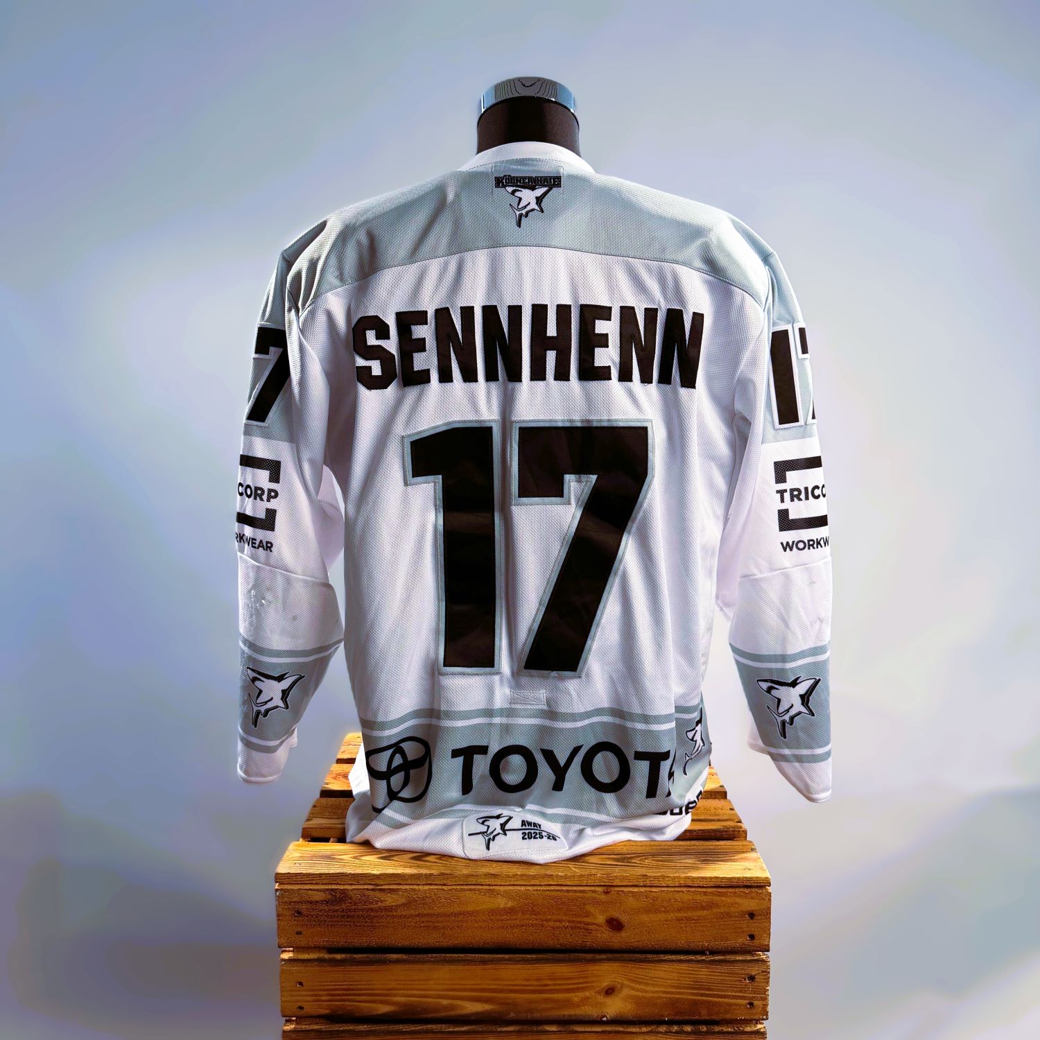 Jersey, Rückenname Sennhenn, 17, Longsleeve, Motorradtuning?