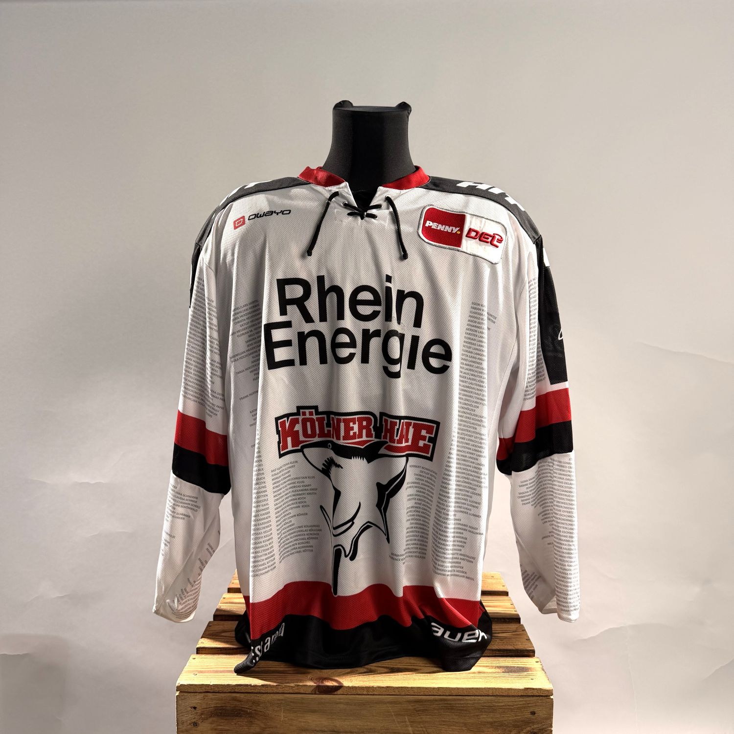 Jersey, Sportswear, Long sleeves, Printed design, Hoodie?