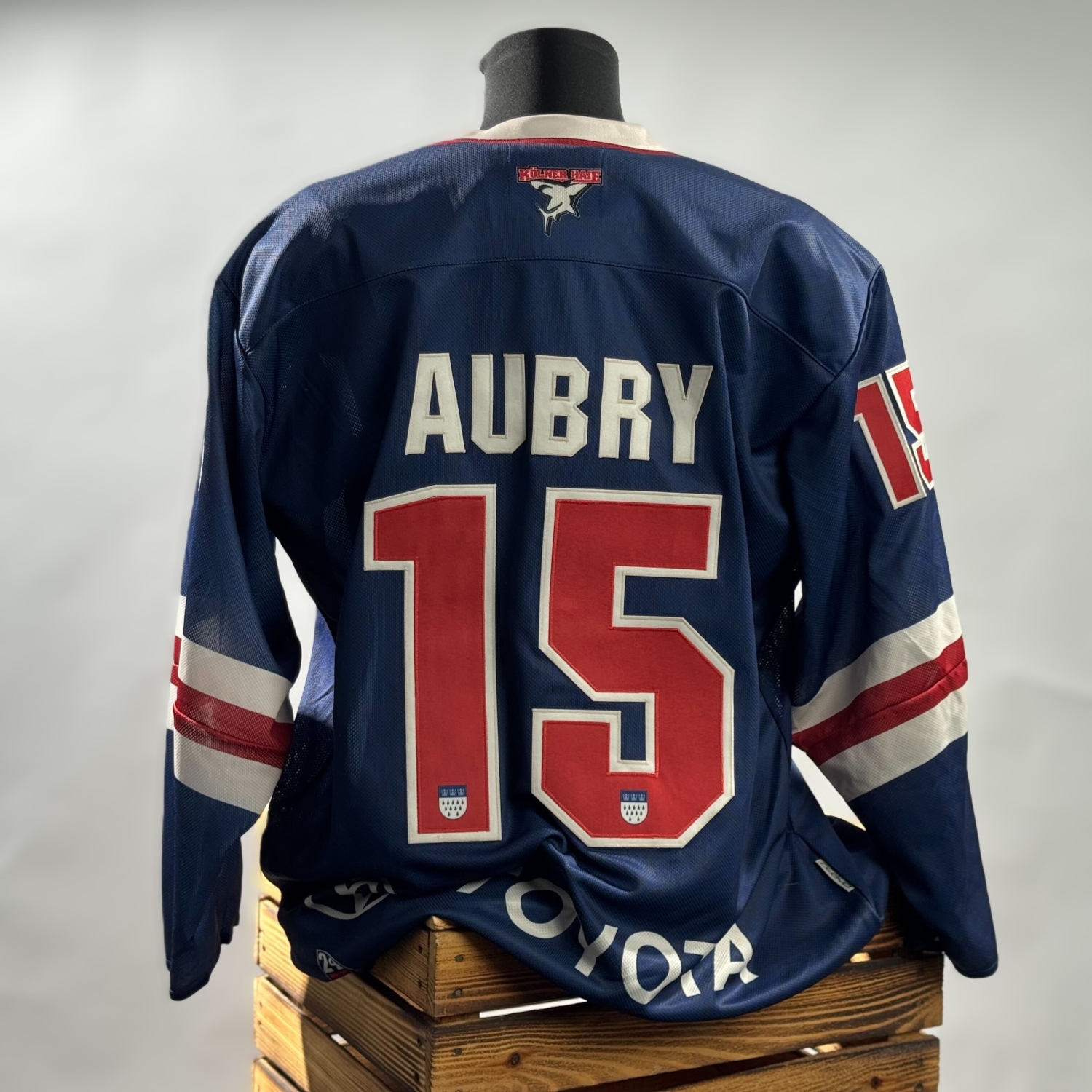 Bekleidung, Hemd, Trikot, Jacke, Kapuzenpulli