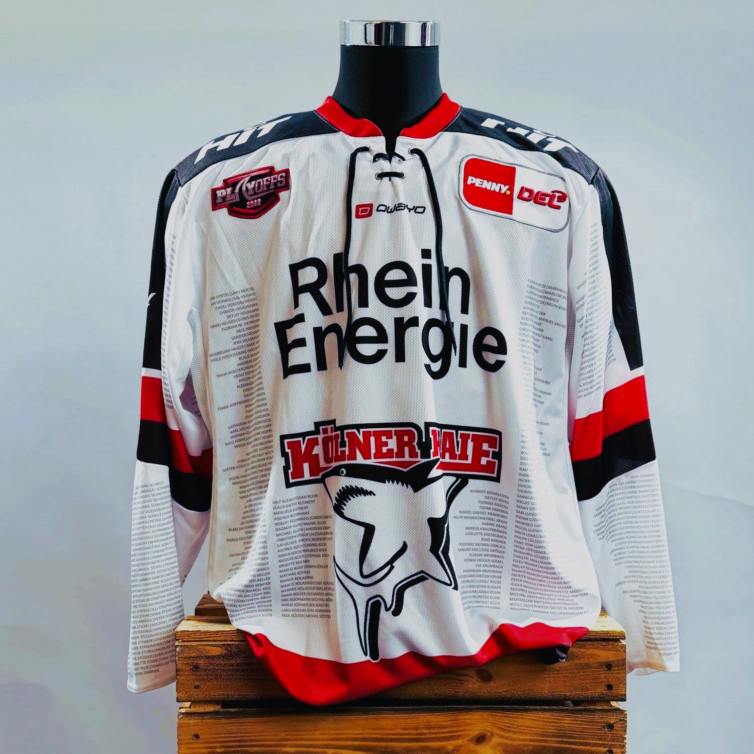 Bekleidung, Hemd, Trikot