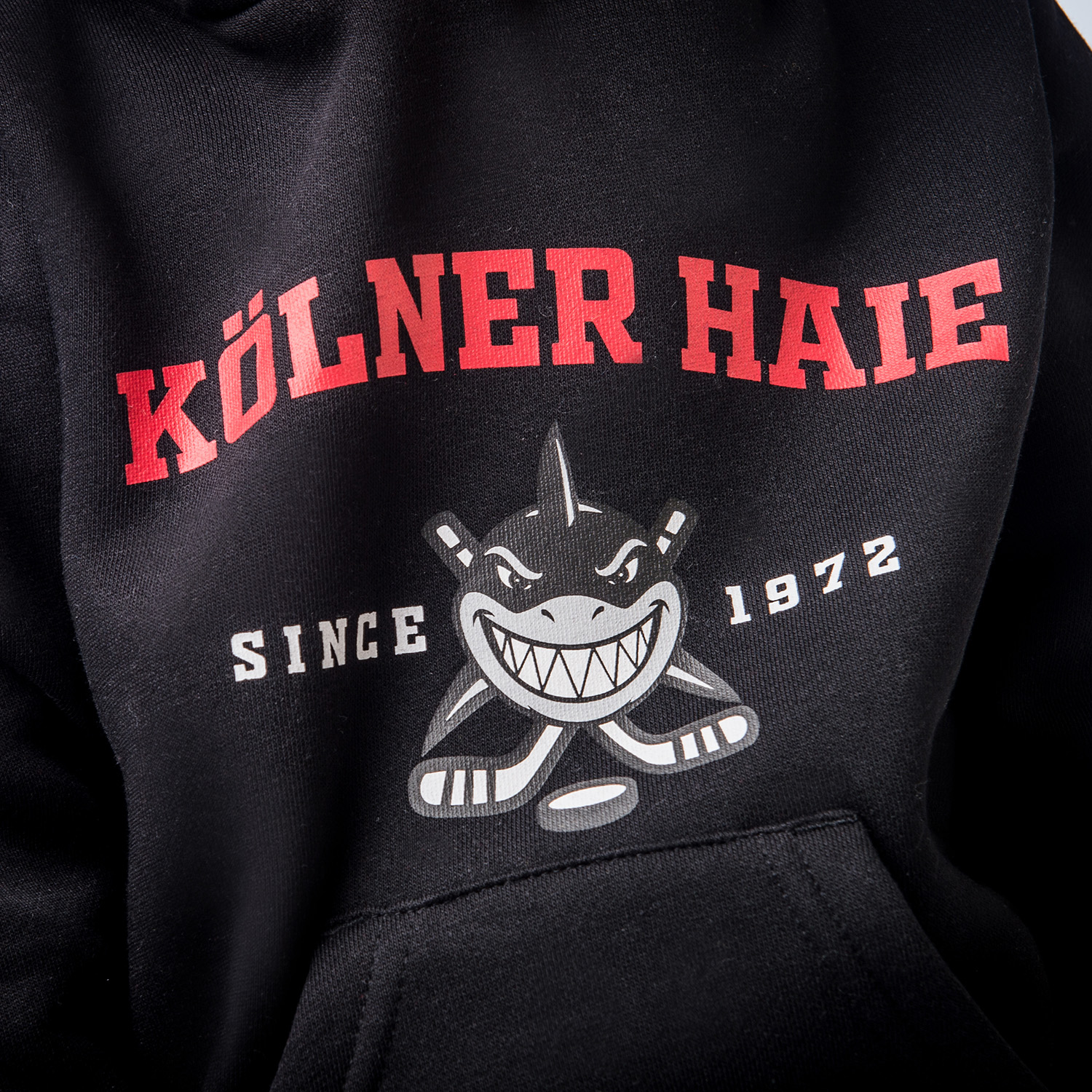 Hoodie, Schriftzug, Kunstlogo, Drachenzahn, Kohlefarben