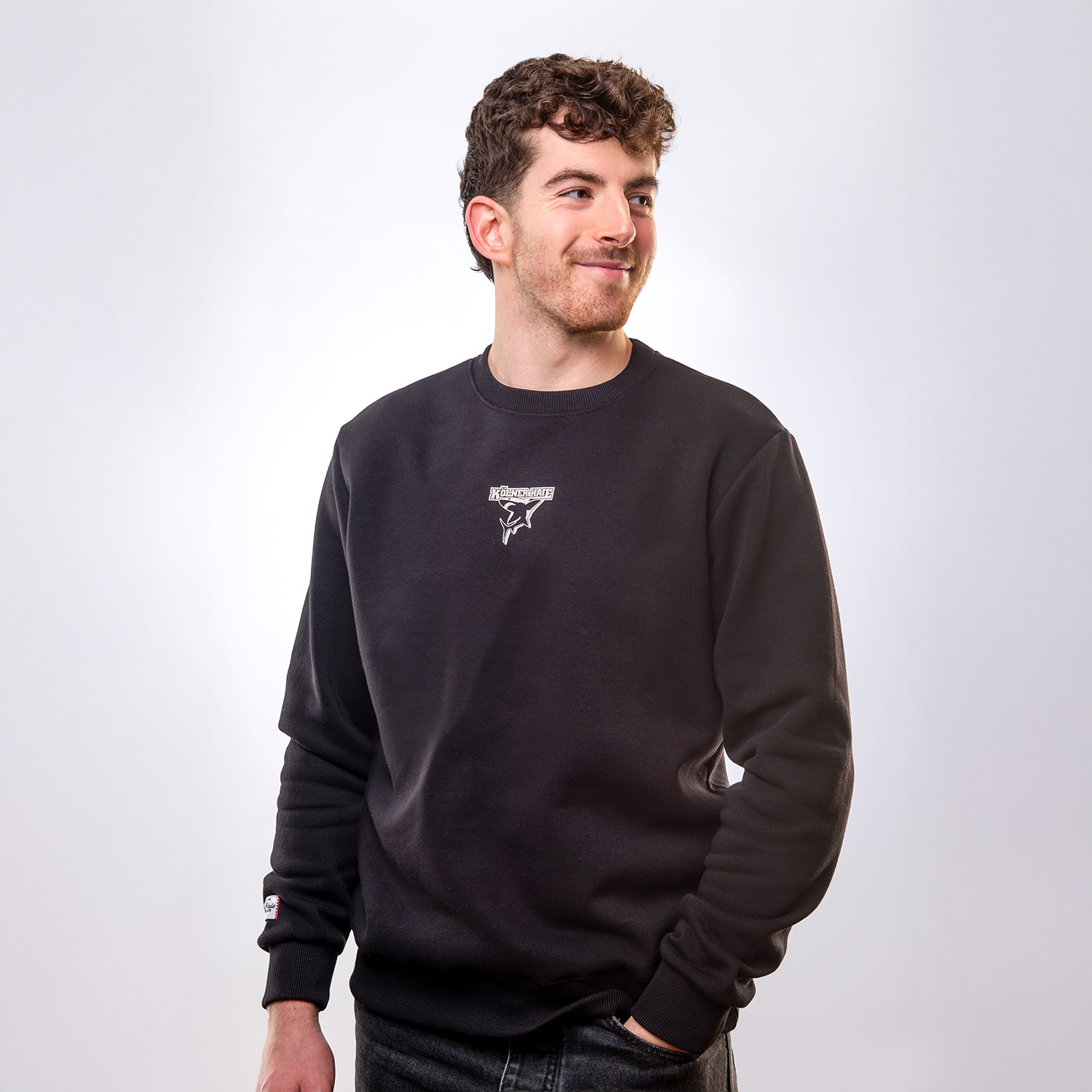 Pulli, Sweatshirt, Langarm, Mann, Person