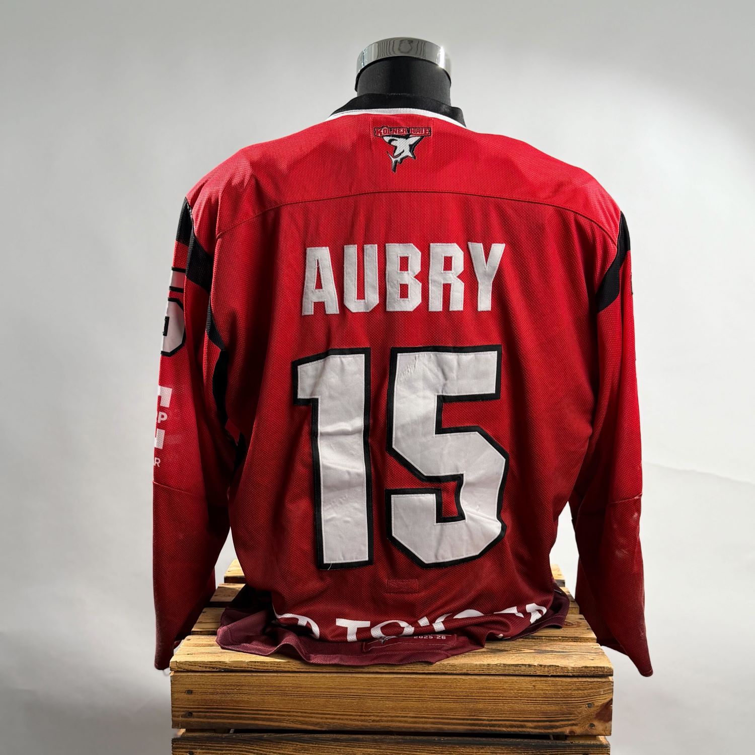 Jersey, Sportswear, Rotes Trikot, Nummer 15, Rückansicht