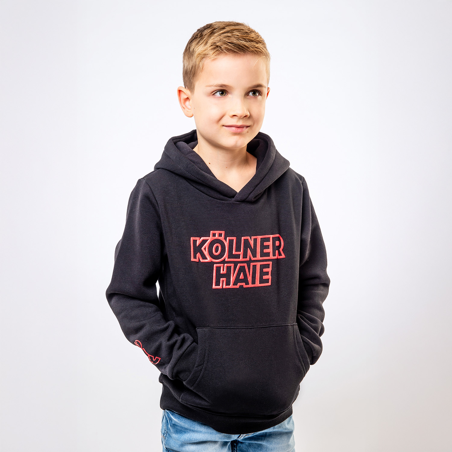 Strickwaren, Pullover, Sweatshirt, Kapuzenpulli, Kapuze