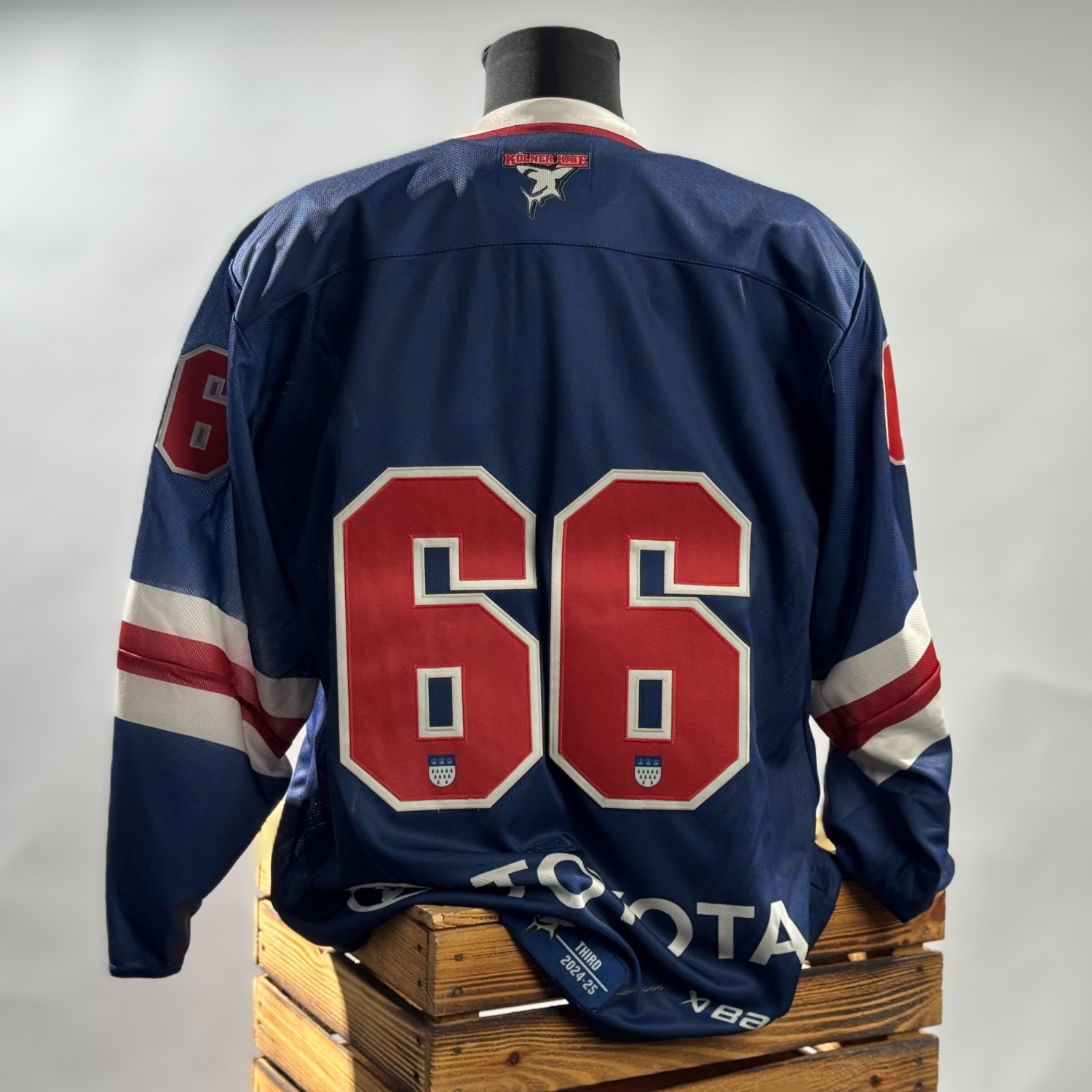 Bekleidung, Hemd, Mantel, Jacke, Trikot