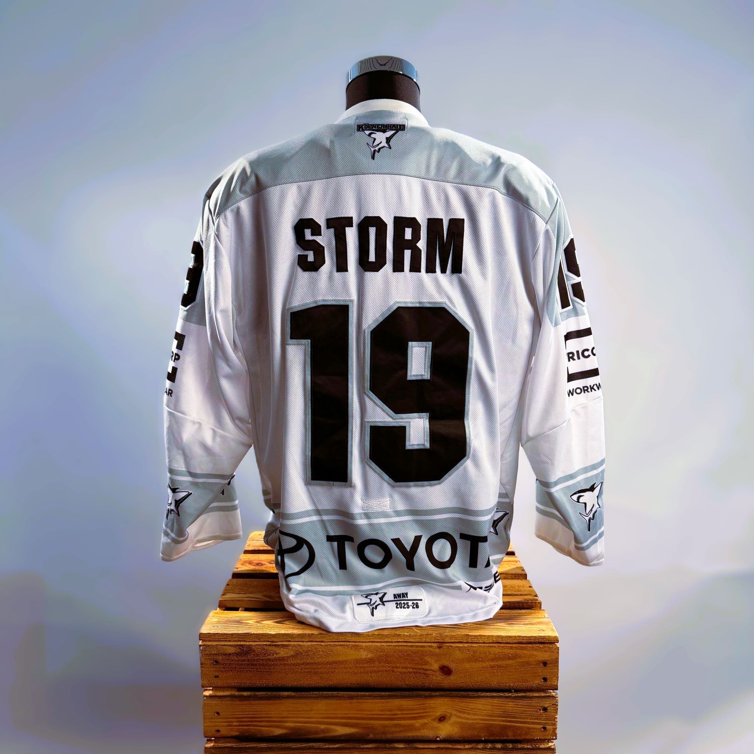 Hockey-Trikot, Jersey, Rückenname Storm, große 19, Sportswear