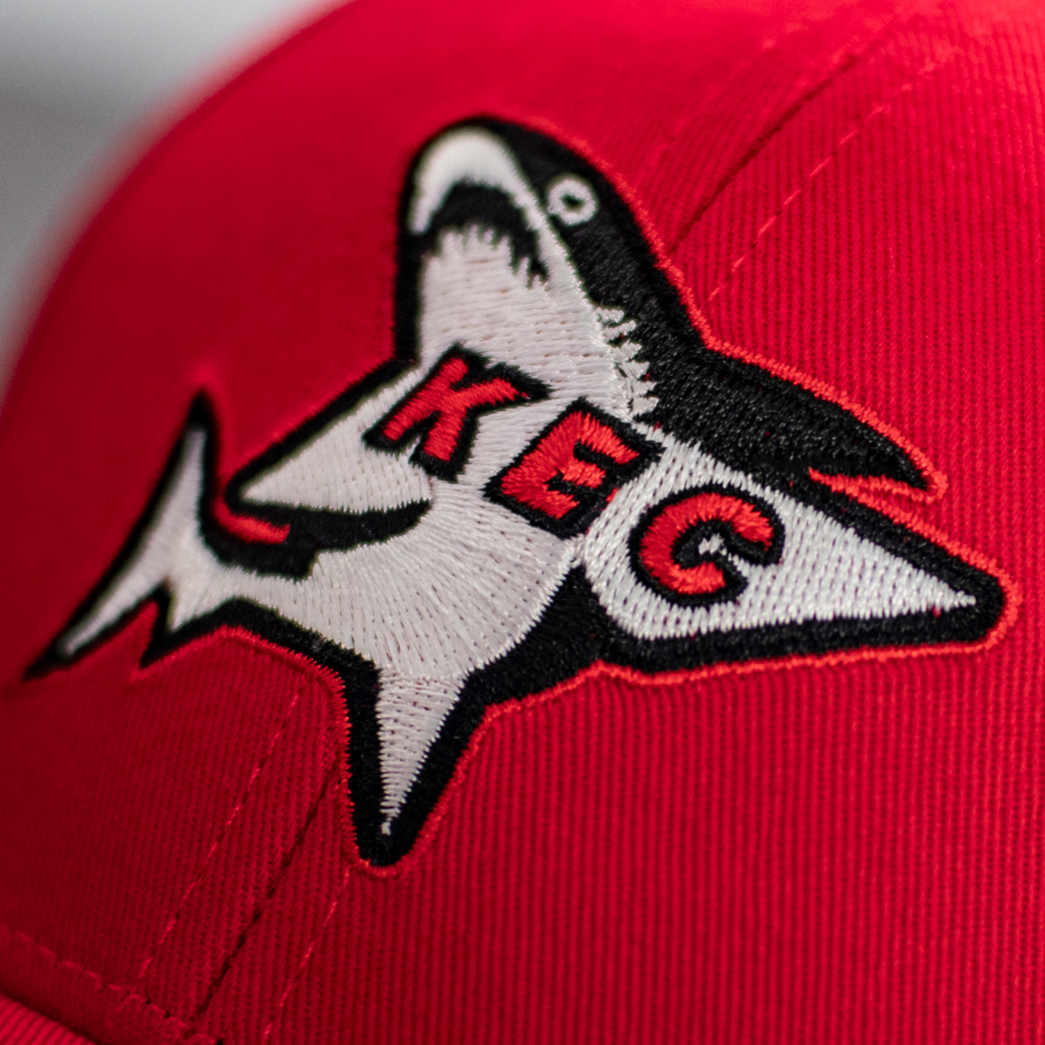 Mütze, Hut, Baseball-Kappe, Logo, Person