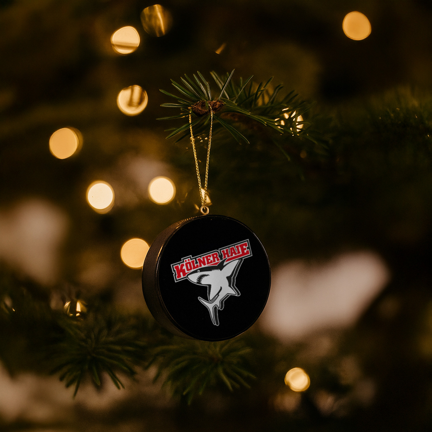 Baum, Zubehör, Eishockey-Puck, Logo, Ornament