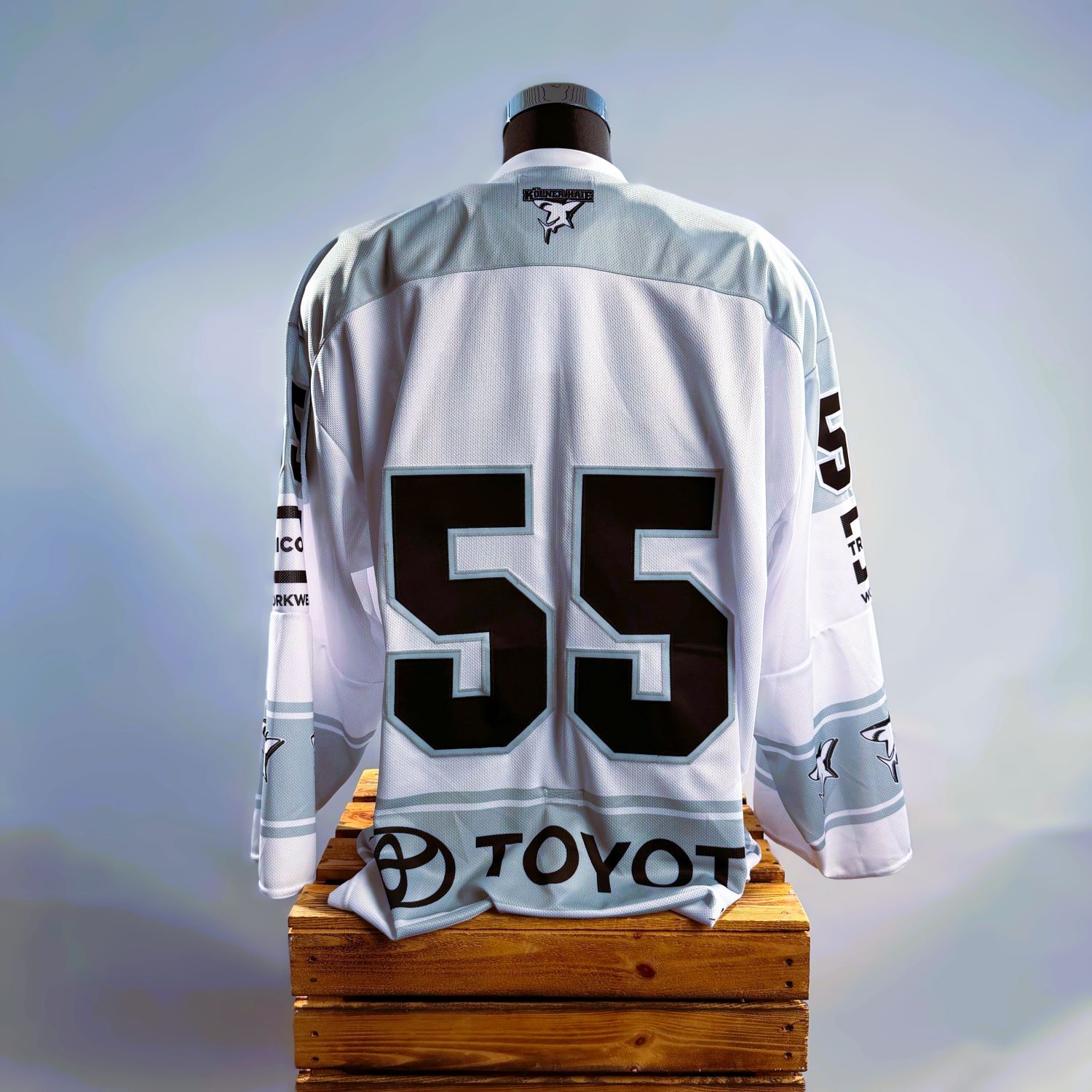 Jersey, Rückenansicht, 55, Trikot, Motorsport