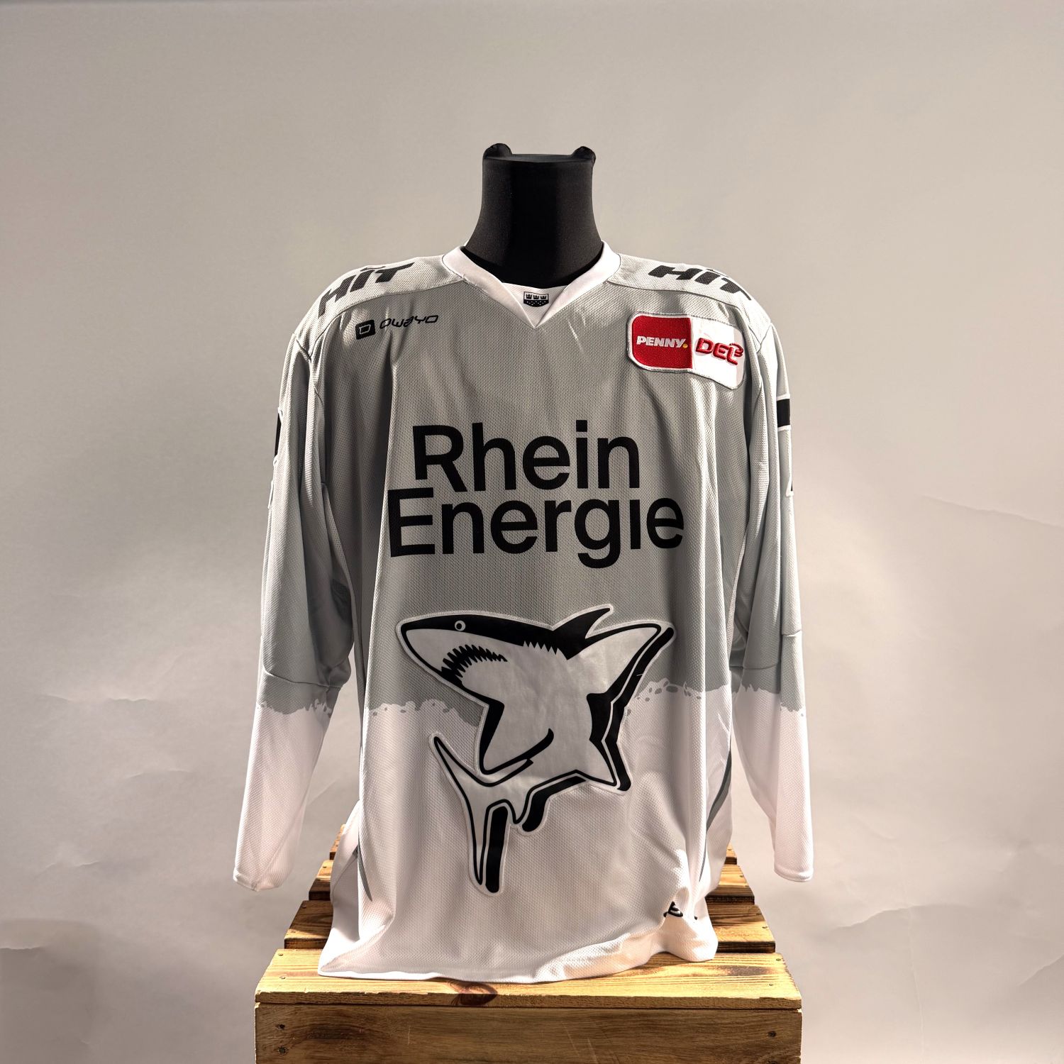 jersey, langarm, sport, grau, logo