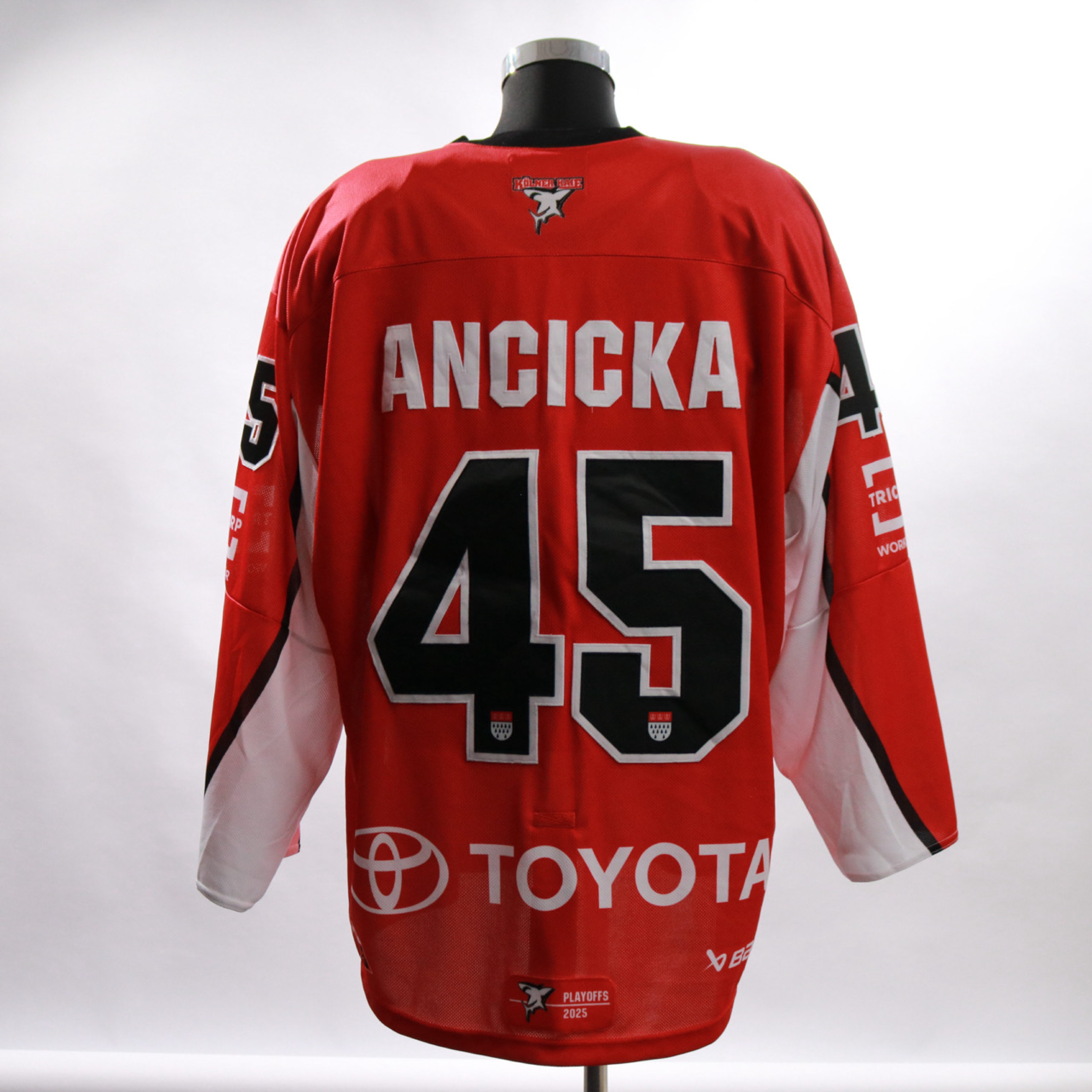 HOME PLAYOFFS | 2024-25 | #45 ANCICKA | gr. G-2XL