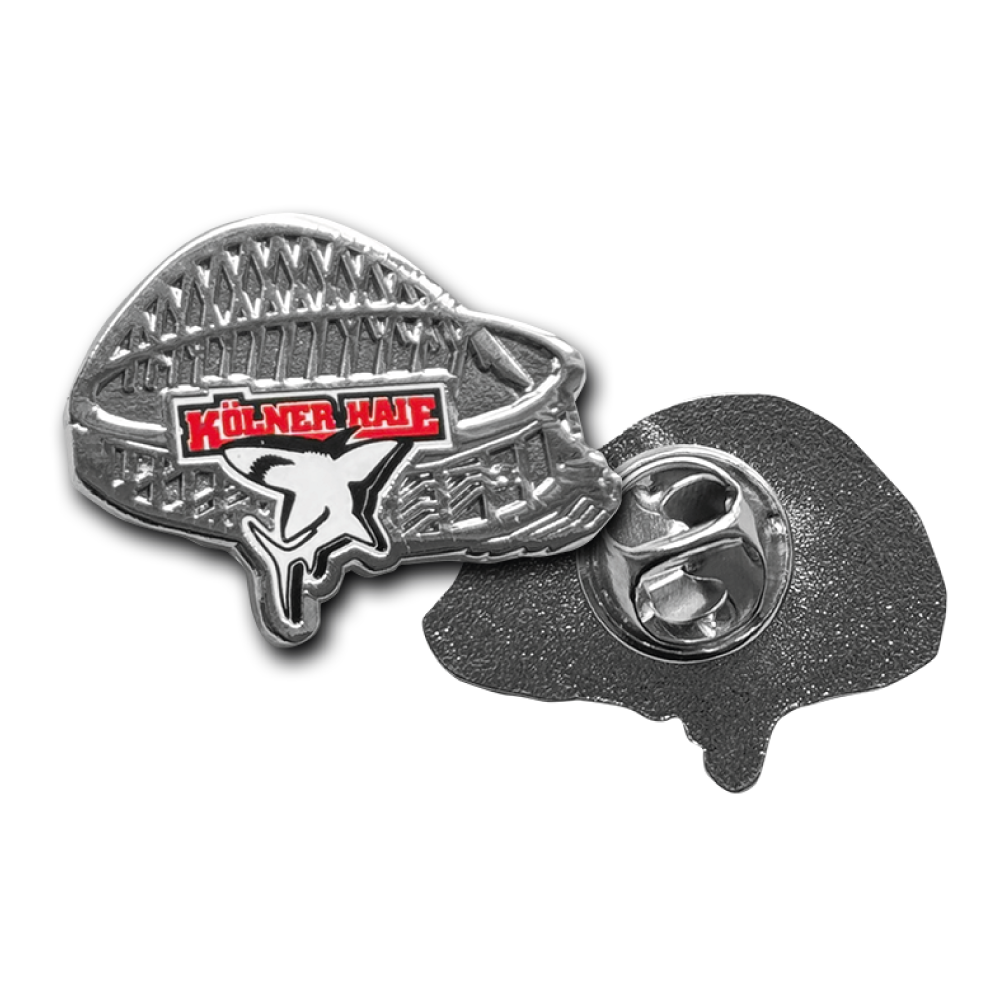 Pin ARENA