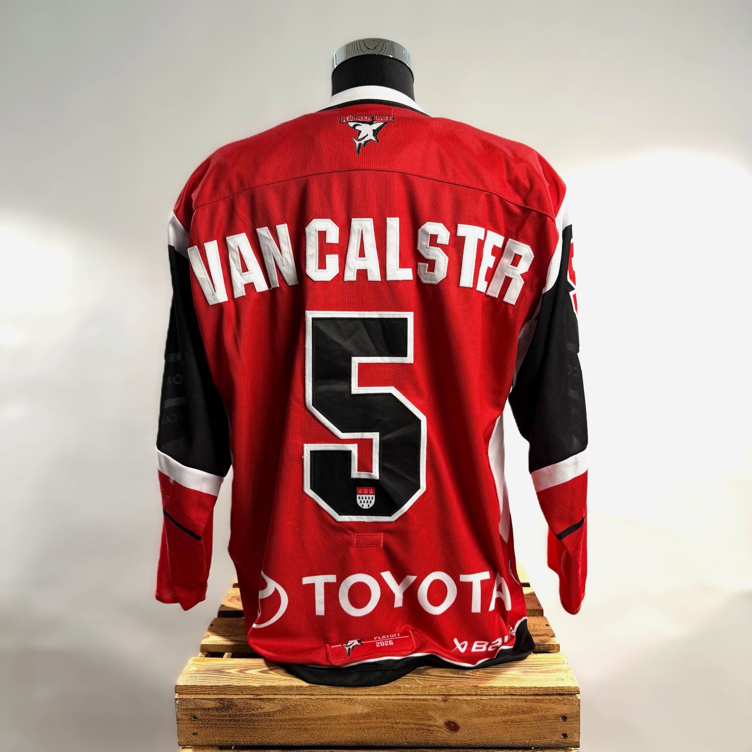 jersey, sportbekleidung, rot, nummer 5, van calstrr