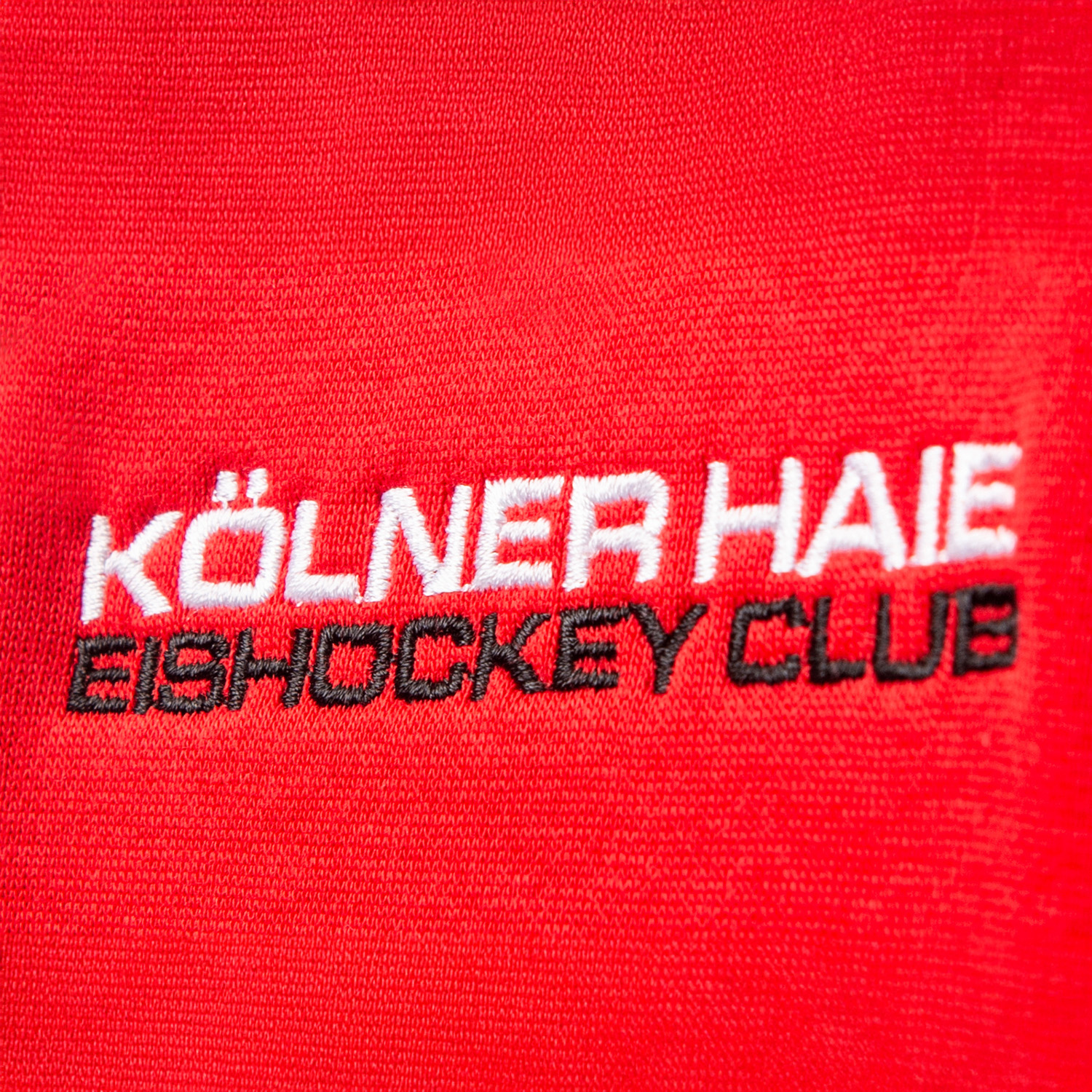 Logo, Buch, Veröffentlichung