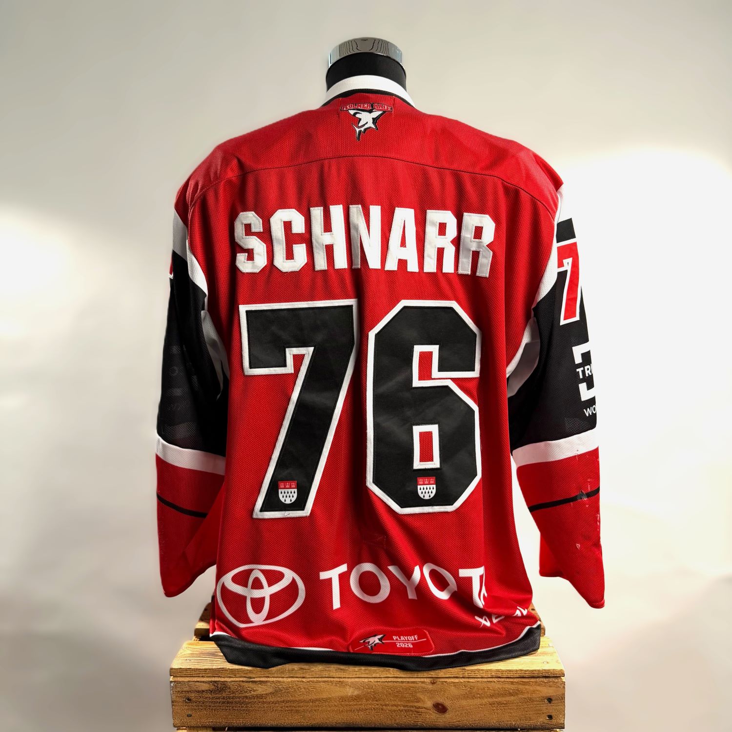 jersey, Sporttrikot, rotes Trikot, 76 SCHNARR, Team-Nummer 76