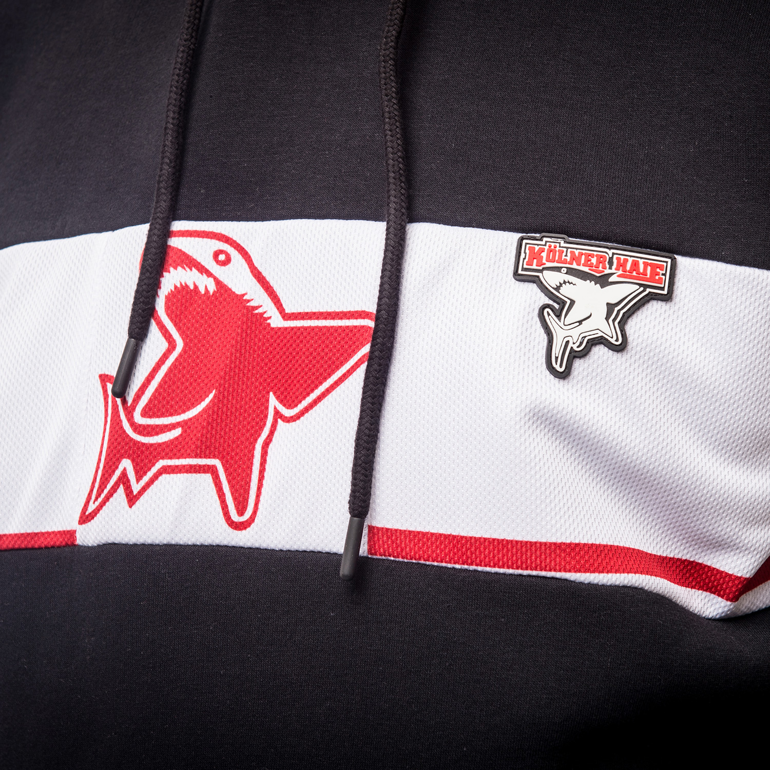 Hoodie, Sweatshirt, Dinosaur logo, Color block, Drawstring hood