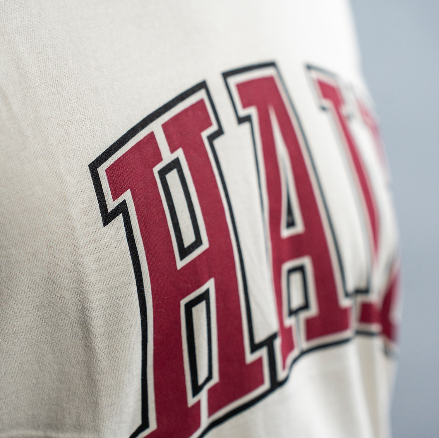 Detailansicht Druck vom „Haie“ auf dem beigen T-Shirt. Die Buchstaben sind bordeauxrot mit einer beigen und einer schwarzen Umrandung. Seitansicht, Fokus auf das H, flacher Druck