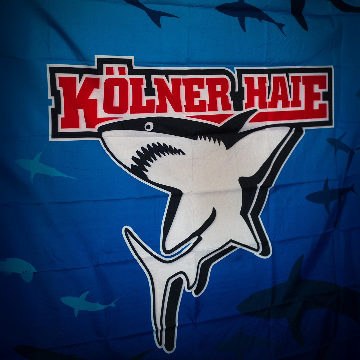 Fahne, Text, Logo