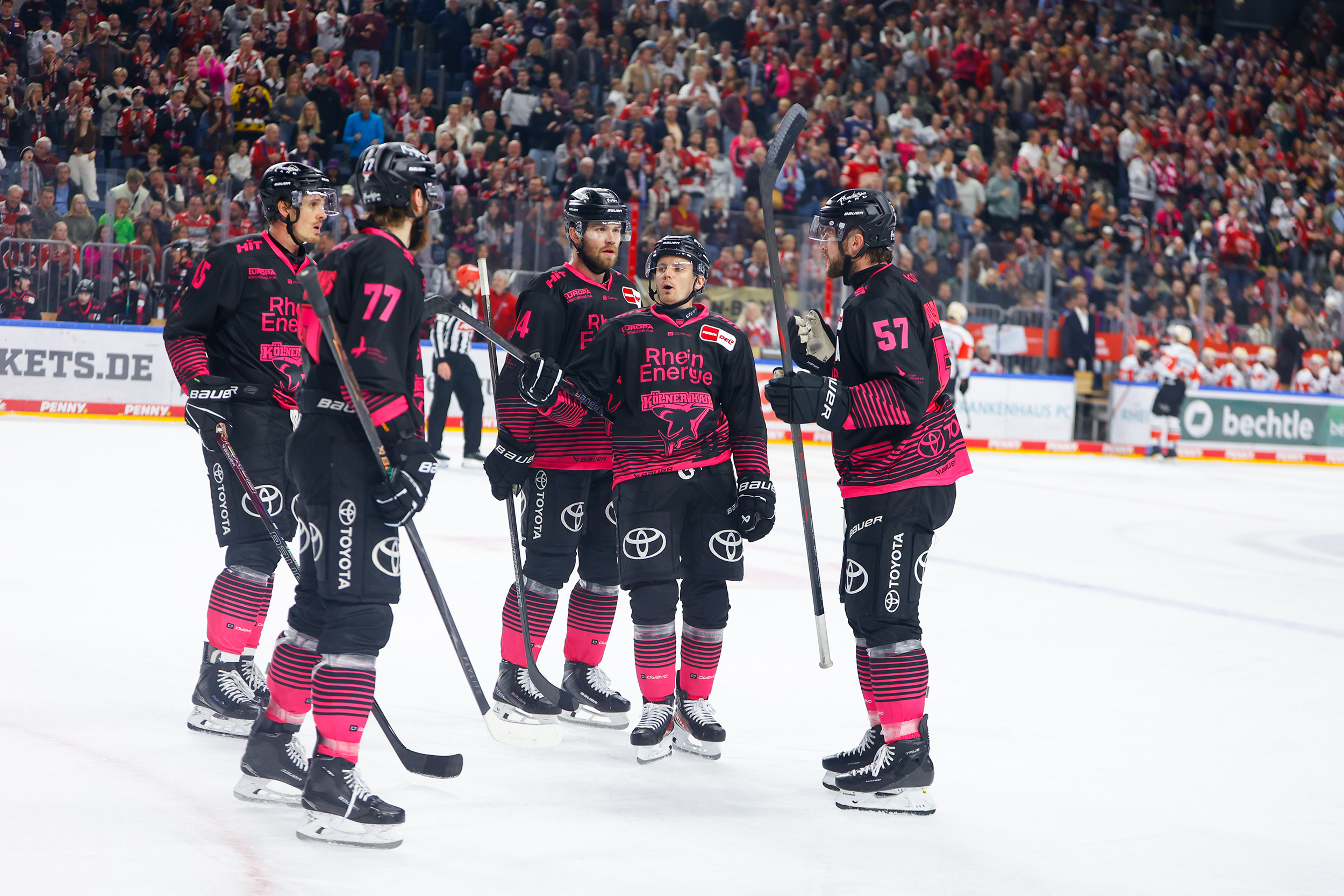 Haie in Pink