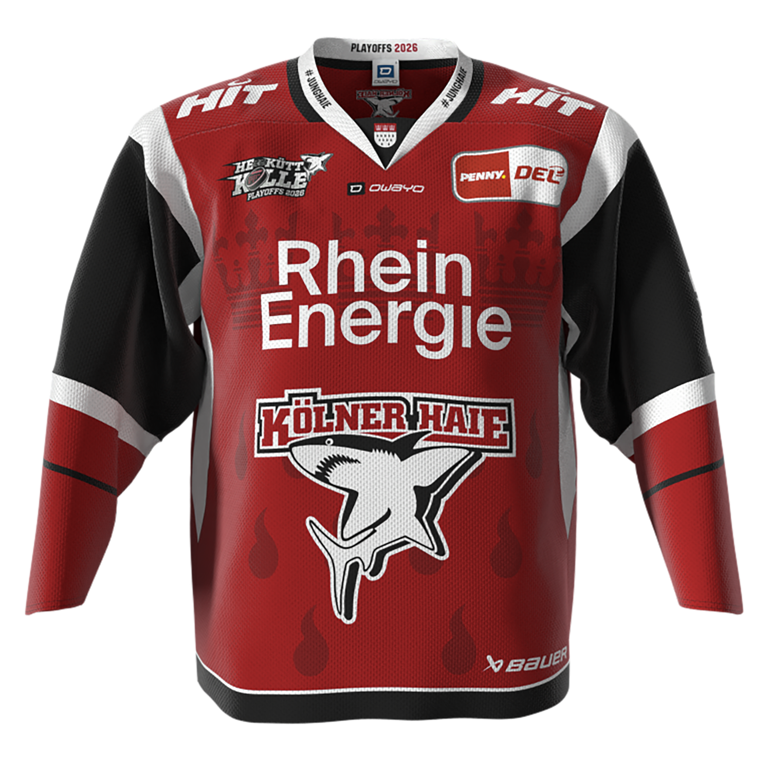 Vorderansicht des gewählten Trikots.